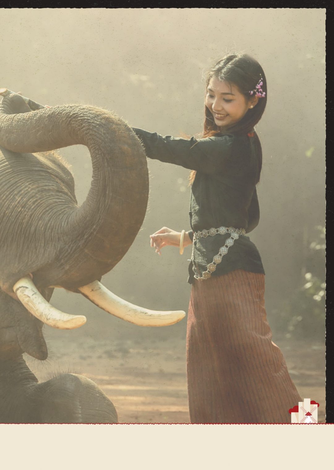 Barrio Organizado para la Transición _BOT