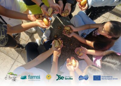 PlantEA: Renaturalización participativa para hacer frente al cambio climático