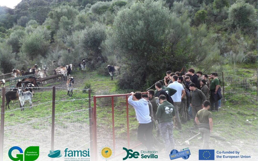 AgroRegen25: Capacitación y difusión sobre prácticas ganaderas regenerativas