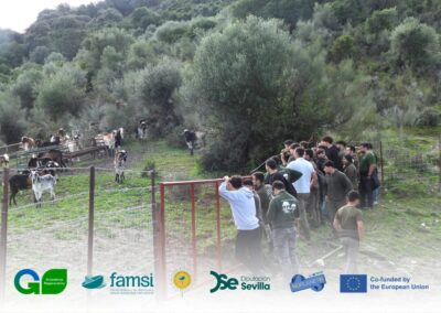 AgroRegen25: Capacitación y difusión sobre prácticas ganaderas regenerativas