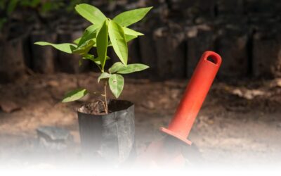 Dos nuevos proyectos para impulsar la sostenibilidad en Andalucía en el marco del proyecto NO PLANET B