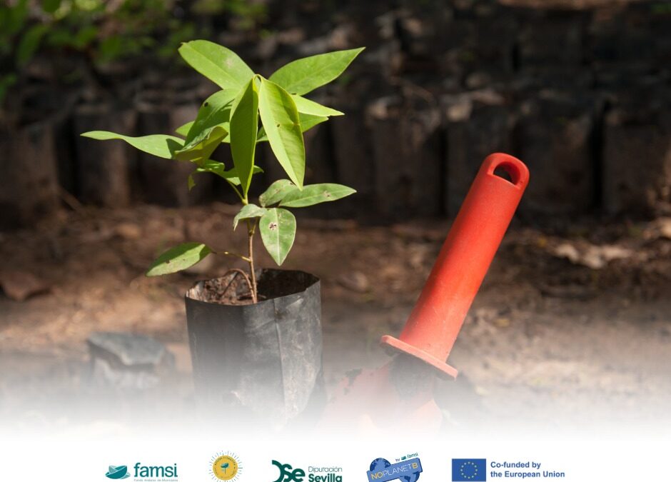 Dos nuevos proyectos para impulsar la sostenibilidad en Andalucía en el marco del proyecto NO PLANET B